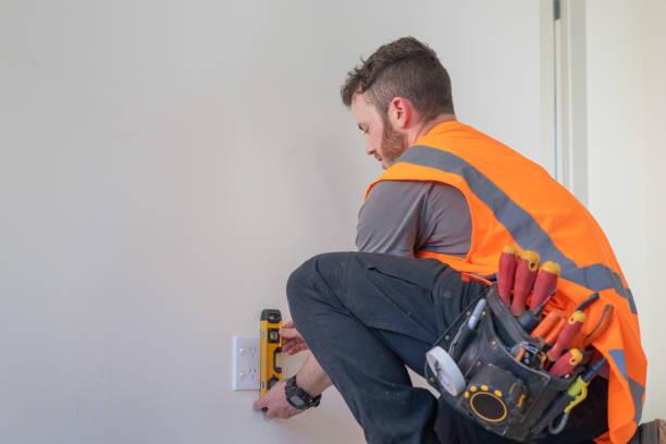 Best Ceiling Fan Installation Electrician  in Buckingham, FL